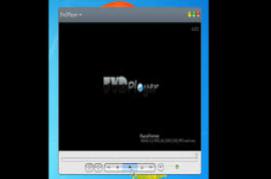 Flash Video Downloader