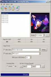 Video to Video Converter