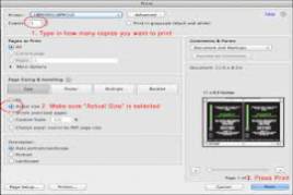 Adobe Reader